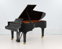Steinway C 495785 - 2D image