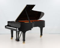 Steinway C 495785 - 2D image
