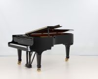Steinway C 495785 - 2D image
