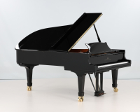 Steinway C 495785 - 2D image