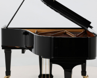 Steinway C 495785 - 2D image