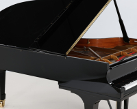 Steinway C 495785 - 2D image