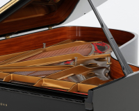 Steinway C 495785 - 2D image