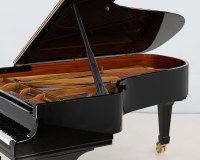 Steinway C 495785 - 2D image