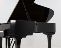 Steinway C 495785 - 2D image