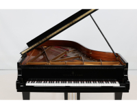 Steinway C 495785 - 2D image