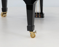 Steinway C 495785 - 2D image