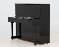 Steinway V 568132 - 2D image