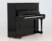 Steinway V 568132 - 2D image