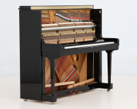 Steinway V 568132 - 2D image