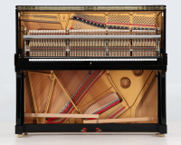 Steinway V 568132 - 2D image