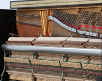 Steinway V 568132 - 2D image