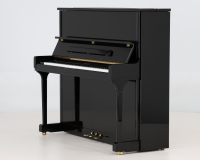 W.Hoffmann 166.407 - 2D image