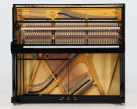 W.Hoffmann 166.407 - 2D image