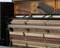 W.Hoffmann 166.407 - 2D image