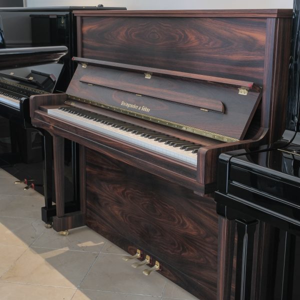 Steingraeber & Sohne 130 Upright Piano