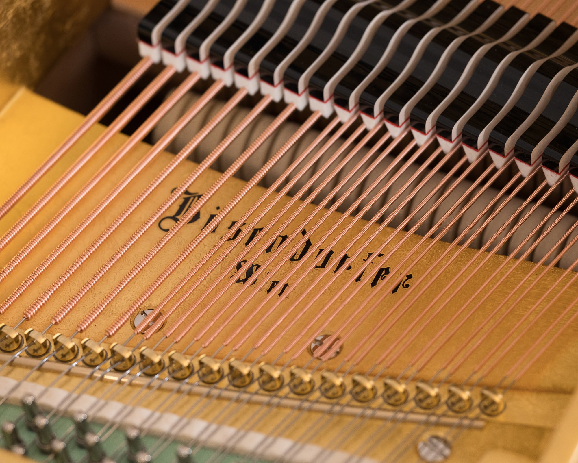 Bosendorfer Secession Grand Piano
